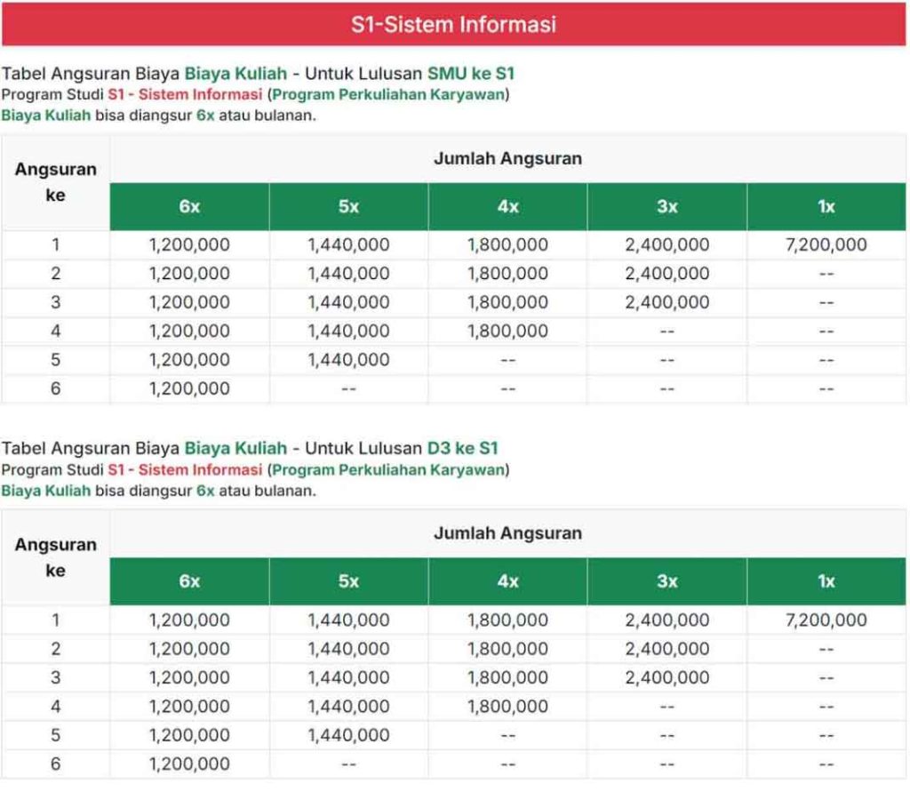 S1-Sistem-Informasi